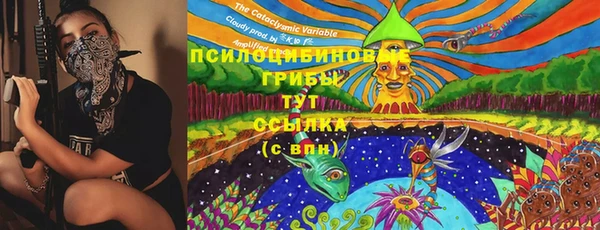 спиды Аркадак
