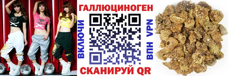 Псилоцибиновые грибы Cubensis  Искитим 